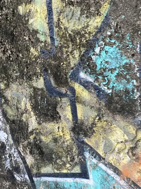 Textures of Santa Teresa photograph 11